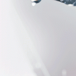 970x250_MS