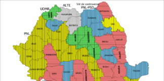 Drumul comunitar al votării la localele din 2020