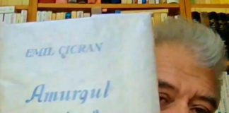 Cum a ajuns Cioran un scriitor clasic al literaturii europene din secolul al XX-lea. Interviu cu criticul literar Constantin Zaharia