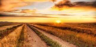 În ultimii 40 ani, temperatura medie anuală din România a crescut cu circa 2°C