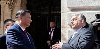 Cu Winnie prin Europa. Cum a pescuit China în apele tulburi ale revizionismului