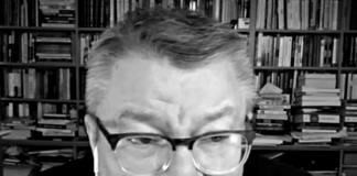 Istoricul Armand Goșu, despre slăbiciunile Rusiei după Kursk. Și cum produc rezerviștii serviciilor secrete românești mesaje pro-rusești (Interviu)
