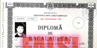 Despre harisma profesorilor și despre învățămînt în general