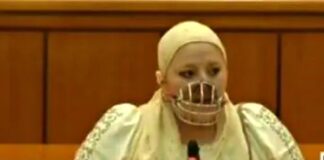 „Traducerea” hotărârii CCR în cazul Șoșoacă