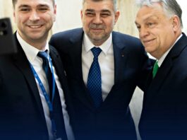 „Interesul național” sau naționalizări ostile în stil mafiot?