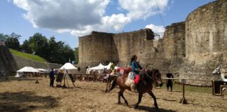 „Visit Romania”, de la Ibn Battuta la TripAdvisor (I)