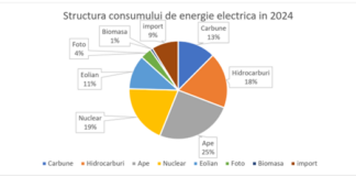Care ar fi fost prețul corect al energiei electrice în 2024?