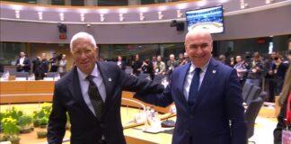 Consiliul European: Adevăratul test decisiv pentru securitate