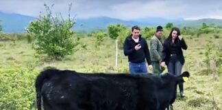 Declin și spor demografic în așezările umane mici din România