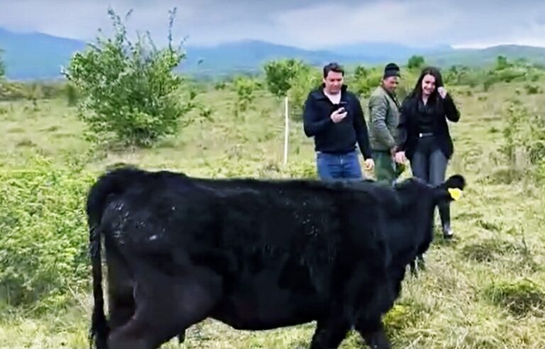 Declin și spor demografic în așezările umane mici din România
