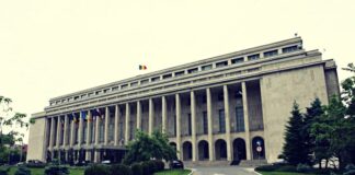 Despre „performanță, eficiență și eficacitate” în administrație publică