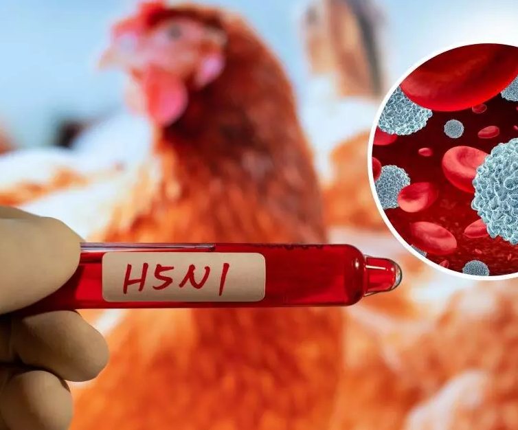 H5N1: un risc ignorat în România H5N1: un risc ignorat în România
