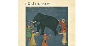 Un elefant fără pânză de păianjen