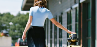 Postumanismul domestic: AI, roboți și intimitatea algoritmică