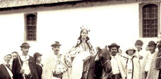 Nupțialitatea în România în perioada 1871-2023. Schimbări, factori determinanți, implicații