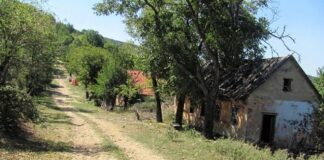 De unde vine declinul populației comunelor din România?