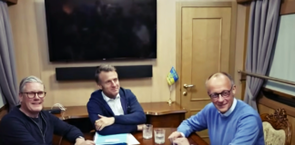 Poate Europa să acționeze singură?