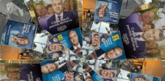 Partidele româneşti, încotro? Între mainstream, partide-mişcare/movement-ization şi populism