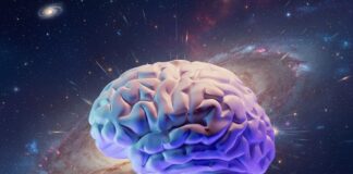 „Creierele Boltzmann” și invincibila entropie