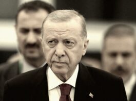 Turcia în epoca Erdoğan: remodelarea statului și dilema succesiunii Erdogan