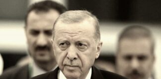 Turcia în epoca Erdoğan: remodelarea statului și dilema succesiunii Erdogan
