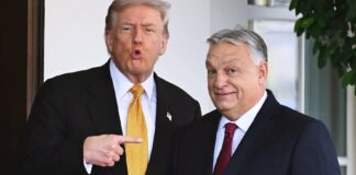 Apariția, menținerea și decăderea regimului Orban
