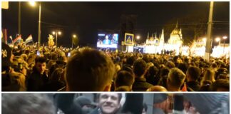 În Ungaria a fost o revoluție. Am trăit-o…