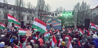 Két szavazat.Despre sistemul electoral din Ungaria
