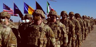 Orientarea strategică a României în condițiile retragerii de facto a SUA din NATO